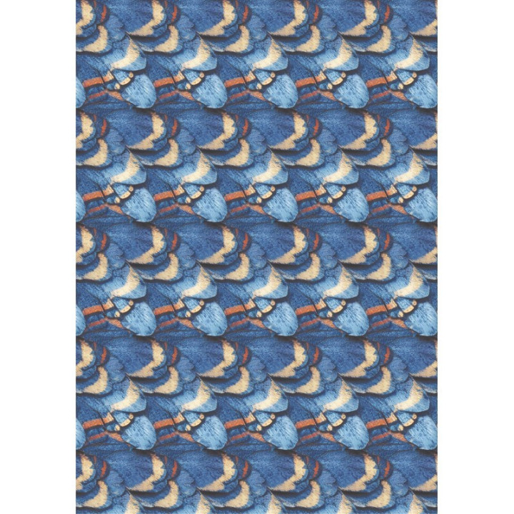 copy of 